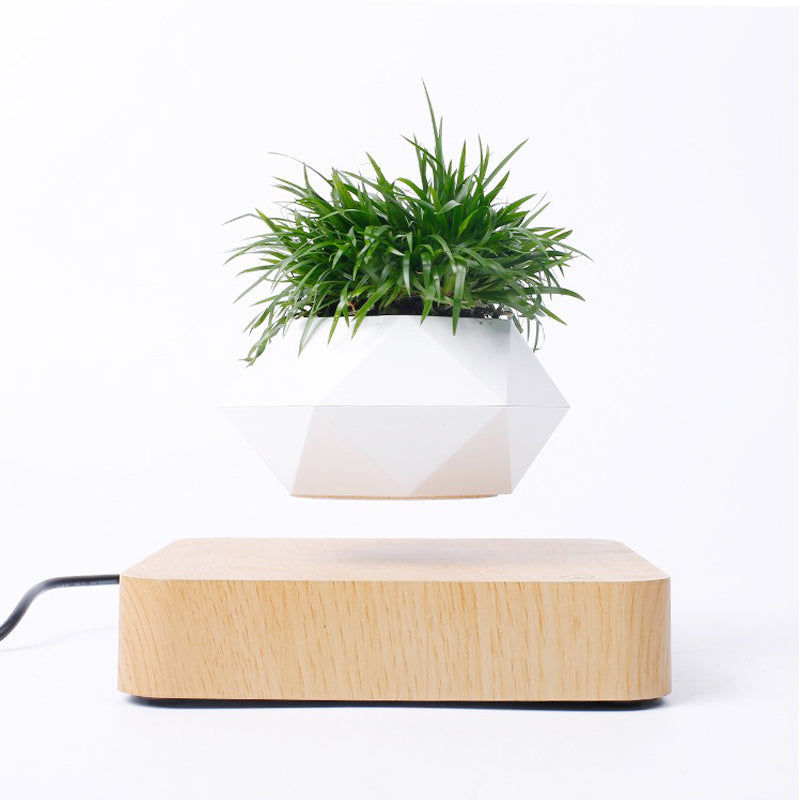 Rotating Bonsai Pot - Magnetic Floating Plant Holder