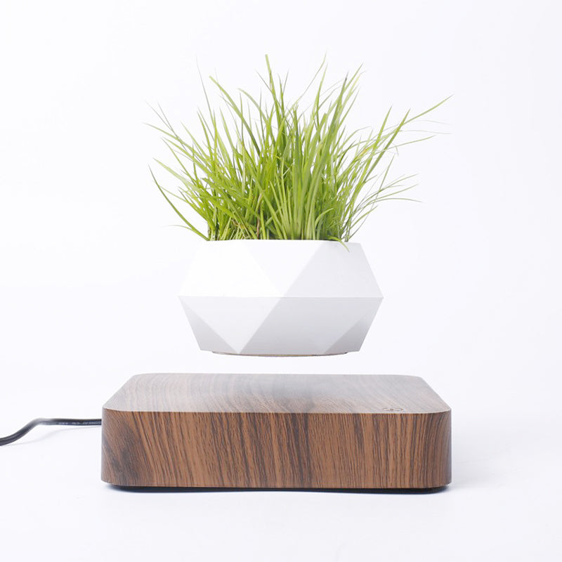 Elegant Levitation Home Decor - Magnetic Plant Display